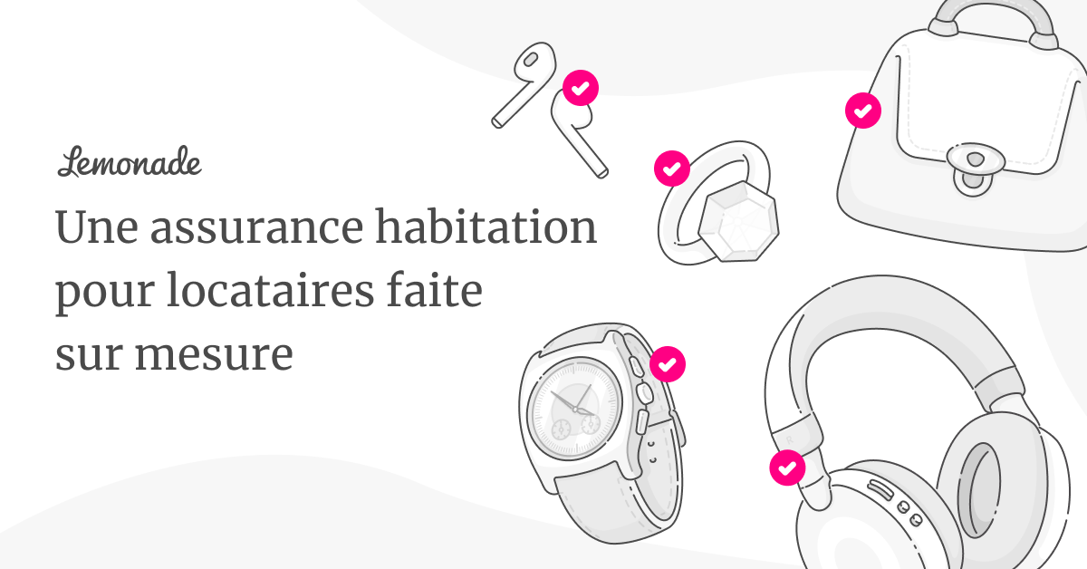 Assurance Habitation Locataire Devis en Ligne Lemonade
