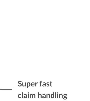 Fast help and claims resolution