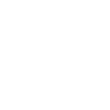 Muse